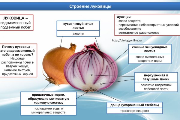 Кракен даркнет официальный