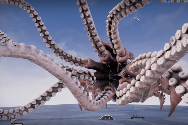 Kraken official